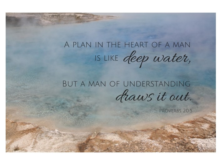 a-plan-in-the-heart-of-a-man-is-like-deep-waterbut-a-man-of-understanding-draws-it-out-prov-20_5