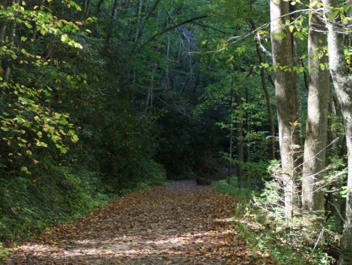 The {Less Travelled} Road Back to You // Lessons from the&nbsp;Enneagram