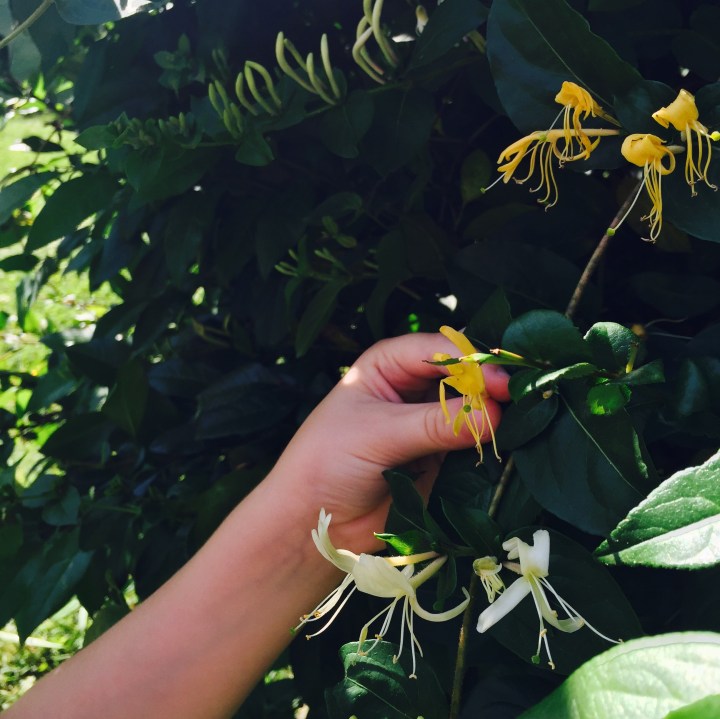 On Being Overwhelmed: The One Question That Makes Sense of&nbsp;Everything
